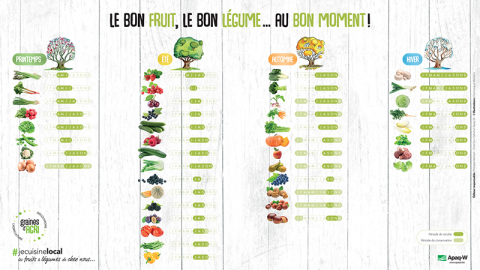 Fruits et légumes : le calendrier des saisons