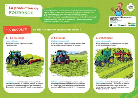 La production de fourrage
