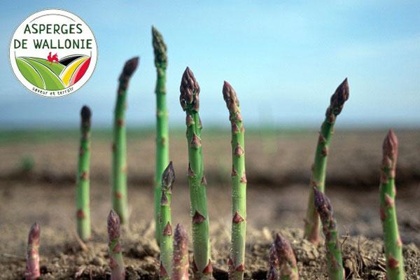 Les Asperges de Wallonie 2024